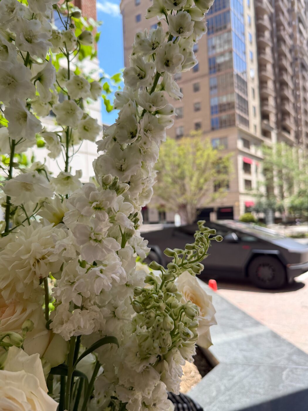 White flowers by a window